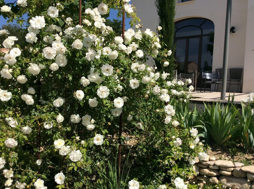 Chez Odile B&B Saint Didier  Εξωτερικό φωτογραφία