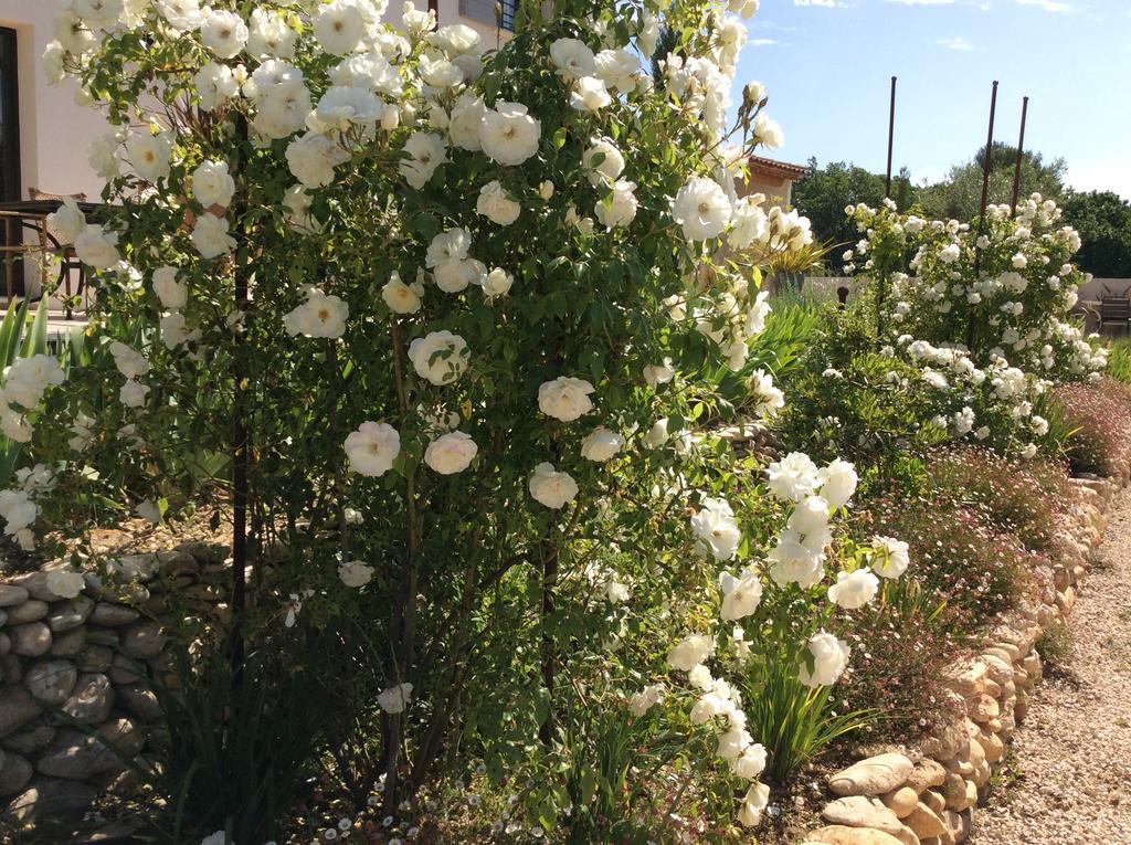 Chez Odile B&B Saint Didier  Εξωτερικό φωτογραφία